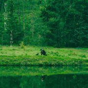 Verde cover image cdn