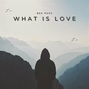 What Is Love cover image cdn