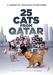 25 cats from Qatar cover image cdn