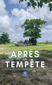 Après la tempête : État Des Lieux Au Lendemain De Blessures… cover image cdn