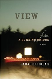 View From a Burning Bridge cover image cdn
