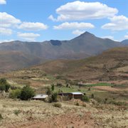 Dilala cover image cdn