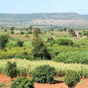 Doom Sugar cover image cdn