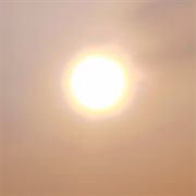 Duvula Zasha, Vol.1 cover image cdn