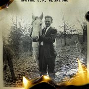 Spitfire cover image cdn