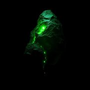 Open Wound cover image cdn