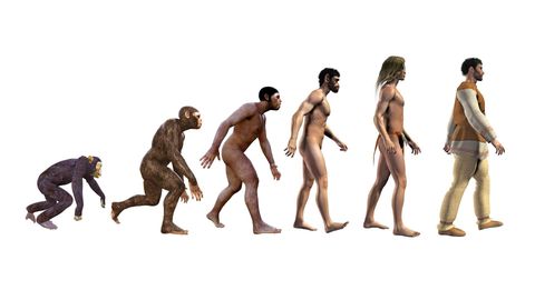 Understanding the Misconceptions of Science. Episode 9 Misconceptions About Evolution cover image cdn