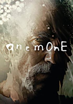 Anemone cover image cdn