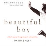 Beautiful Boy : A Father's Journey through His Son's Meth Addiction cover image cdn
