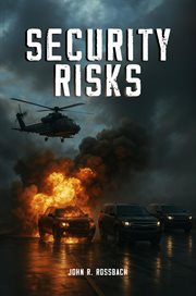 Security Risks cover image cdn