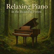 Relaxing Piano In The Beautiful Forest cover image cdn