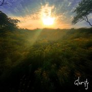 Clarity cover image cdn