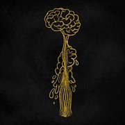 Tontonte cover image cdn