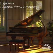 Scenes From A Memory cover image cdn