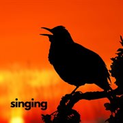 Singing cover image cdn