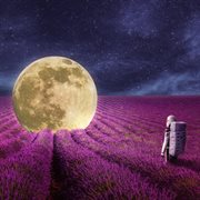 Endless Sky cover image cdn