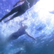 ネオ・ニュー・ビギニング cover image cdn