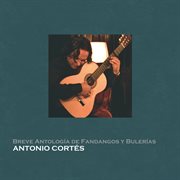 Breve Antología De Fandangos Y Bulerías cover image cdn