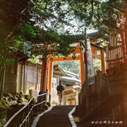 Occasion cover image cdn