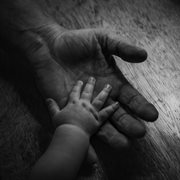 Life cover image cdn