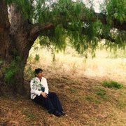 Ivory (Alternatives) cover image cdn