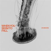 When You Seem To Fall cover image cdn