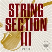 String Section Iii cover image cdn