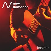 New Flamenco cover image cdn