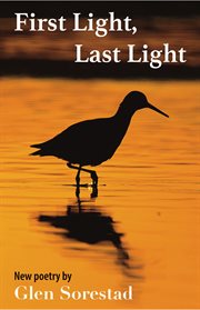 First Light, Last Light cover image cdn