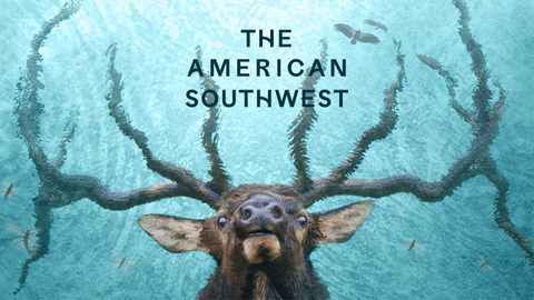 The American Southwest cover image cdn