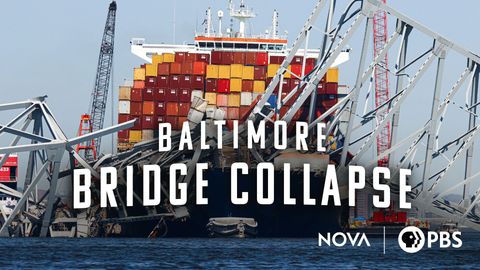 Baltimore Bridge Collapse cover image cdn
