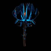 Knocked Out cover image cdn