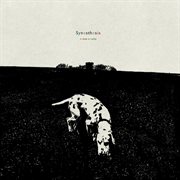 Synesthesia cover image cdn