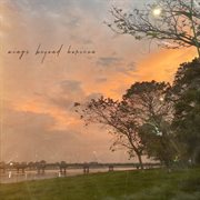 Wings Beyond Horizon cover image cdn