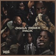 Jigga Remix Pack cover image cdn