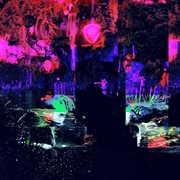 Sleep Loss cover image cdn