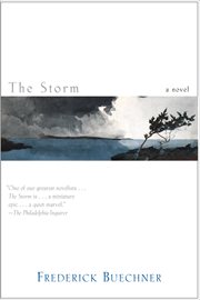 The Storm cover image cdn