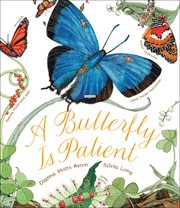 A Butterfly Is Patient cover image cdn