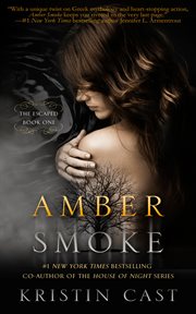 Amber Smoke cover image cdn