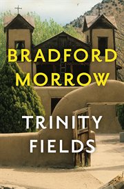 Trinity Fields cover image cdn
