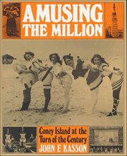 Amusing the Million : Coney Island at the Turn of the Century cover image cdn
