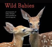 Wild Babies : Photographs of Baby Animals from Giraffes to Hummingbirds cover image cdn