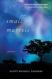 Small Marvels : Stories cover image cdn