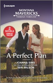 A Perfect Plan cover image cdn