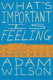 What's Important Is Feeling : Stories cover image cdn