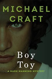 Boy Toy cover image cdn
