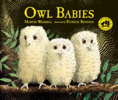 Owl babies  cover image cdn