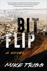 Bit Flip cover image cdn
