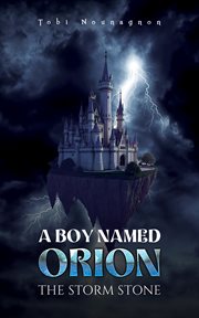 A Boy Named Orion: The Storm Stone cover image cdn