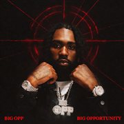 Big Opportunity cover image cdn